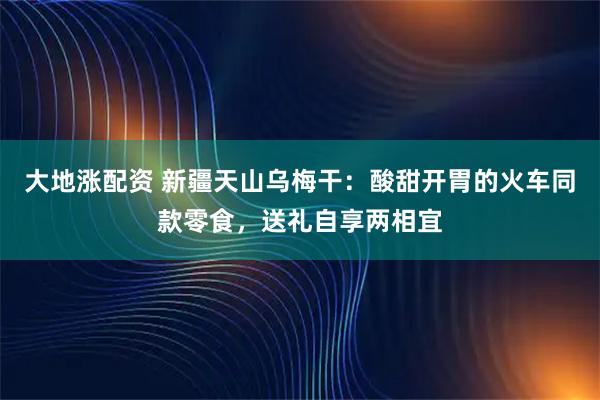 大地涨配资 新疆天山乌梅干：酸甜开胃的火车同款零食，送礼自享两相宜