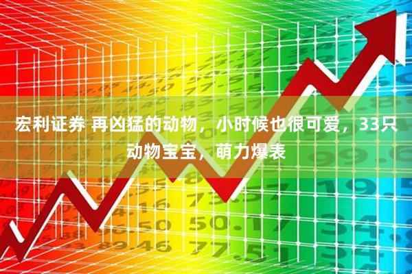 宏利证券 再凶猛的动物，小时候也很可爱，33只动物宝宝，萌力爆表