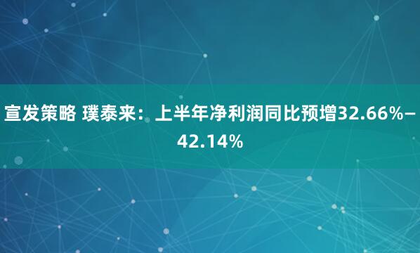 宣发策略 璞泰来：上半年净利润同比预增32.66%—42.14%